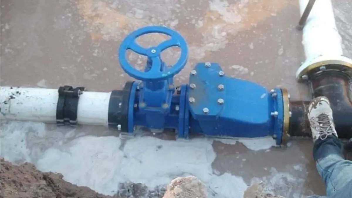 WhatsApp Image 2022-03-03 at 12.18.23