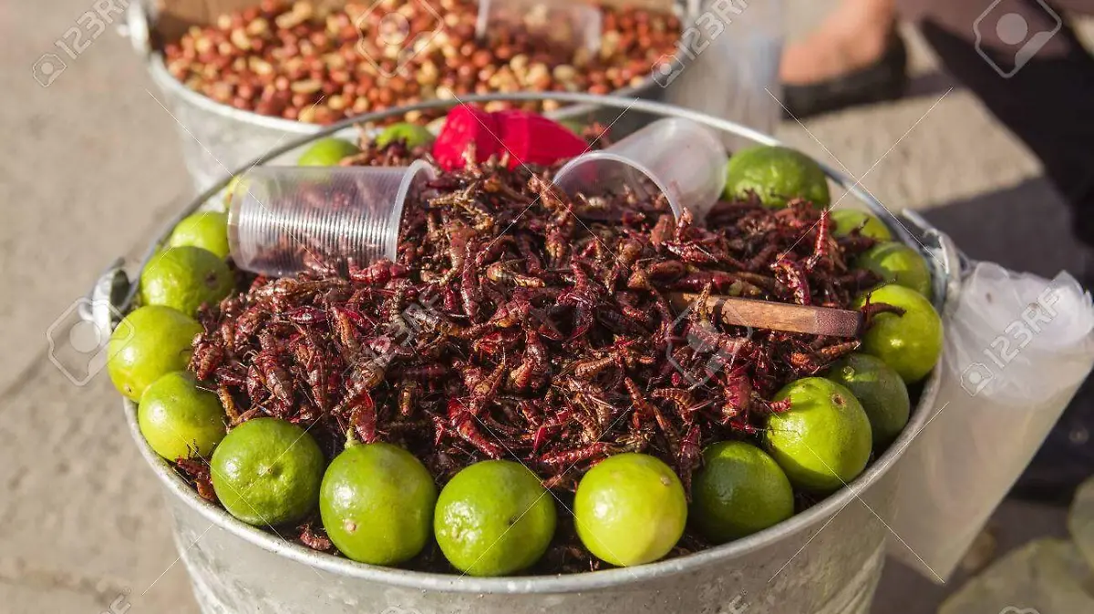 Saltamontes-chapulines