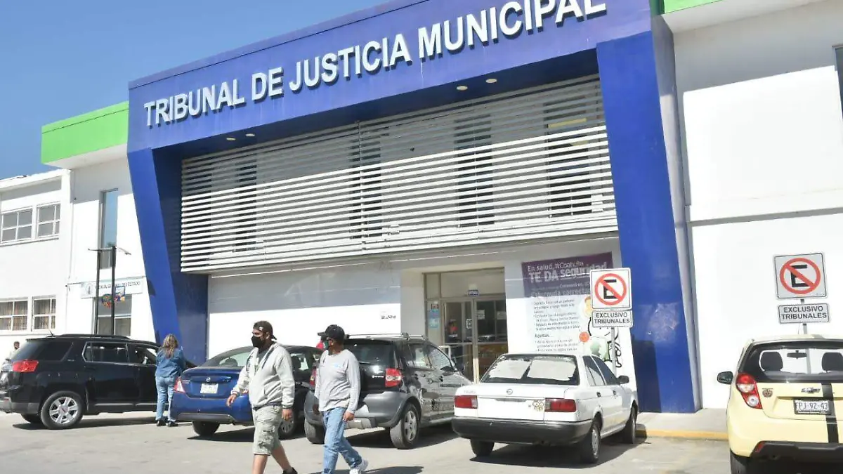 Tribunal