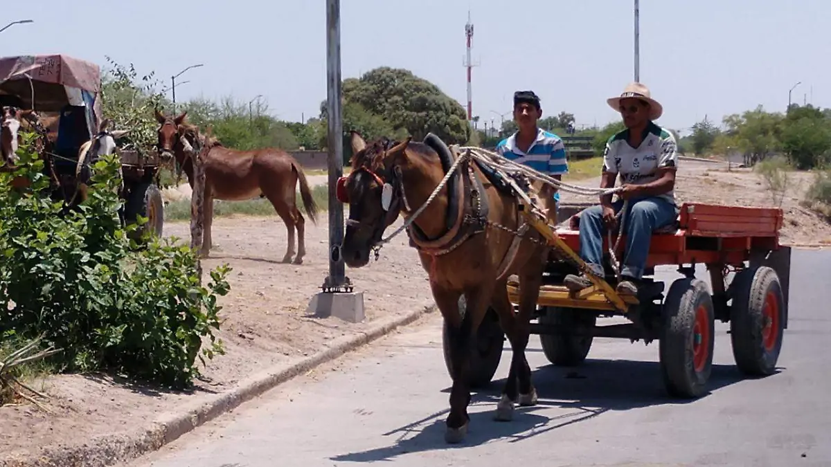 Carromateros