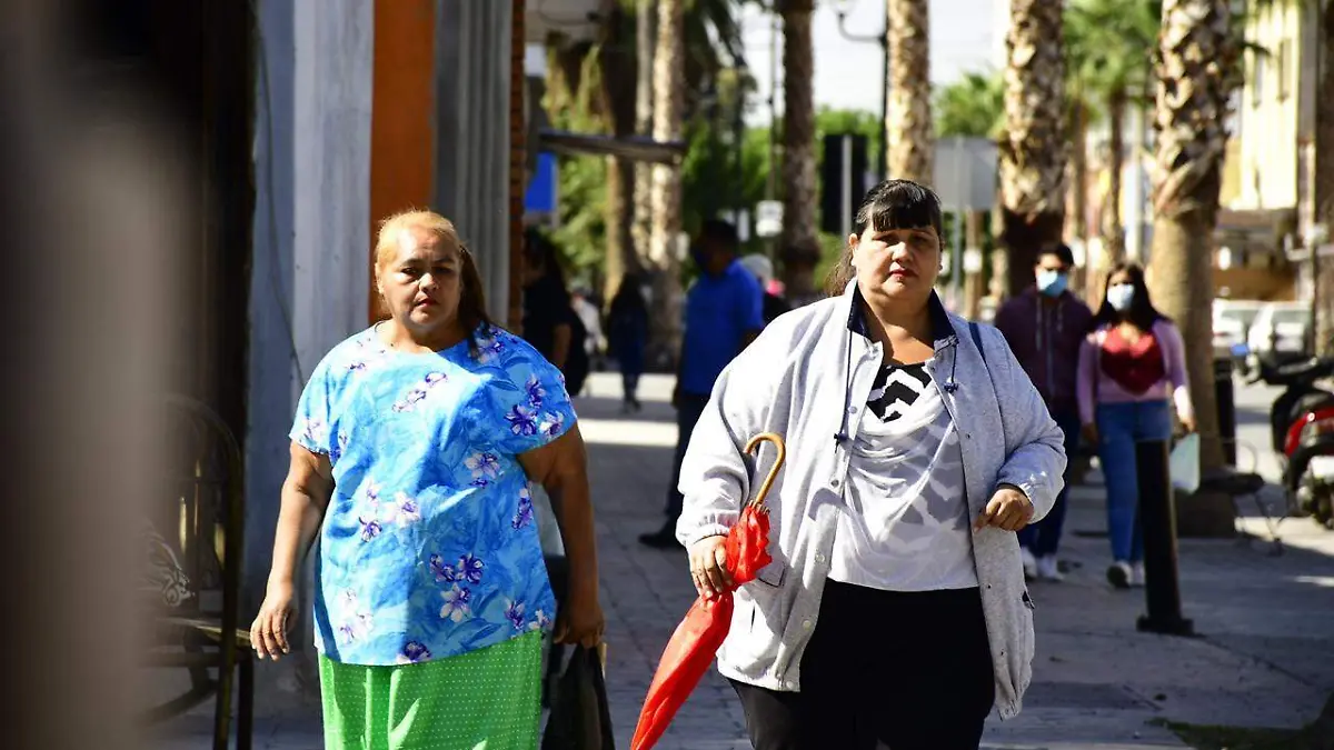 Centro de Gómez