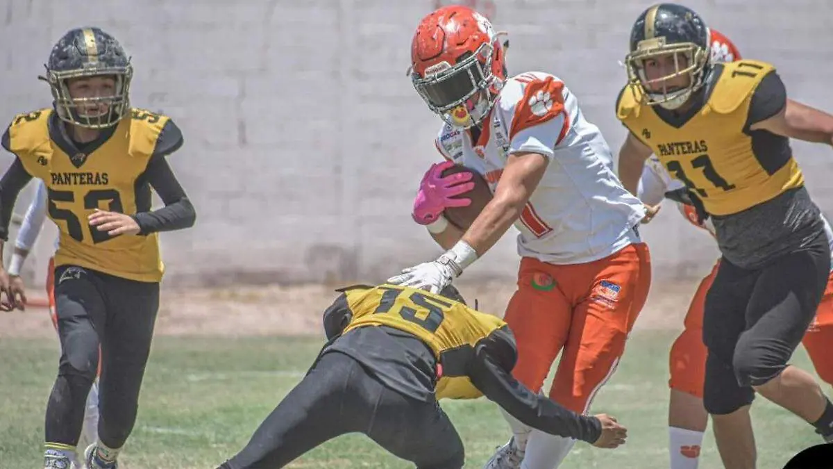 jaguares-vs-panteras