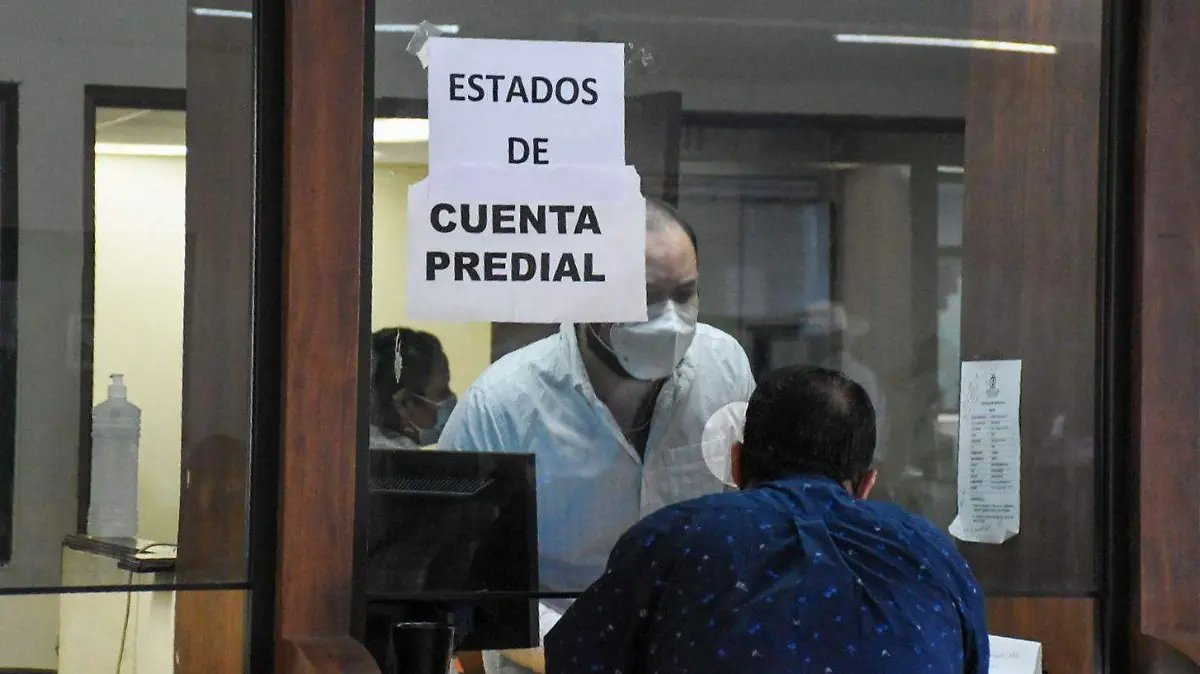 WhatsApp Image 2021-12-13 at 13.42.13