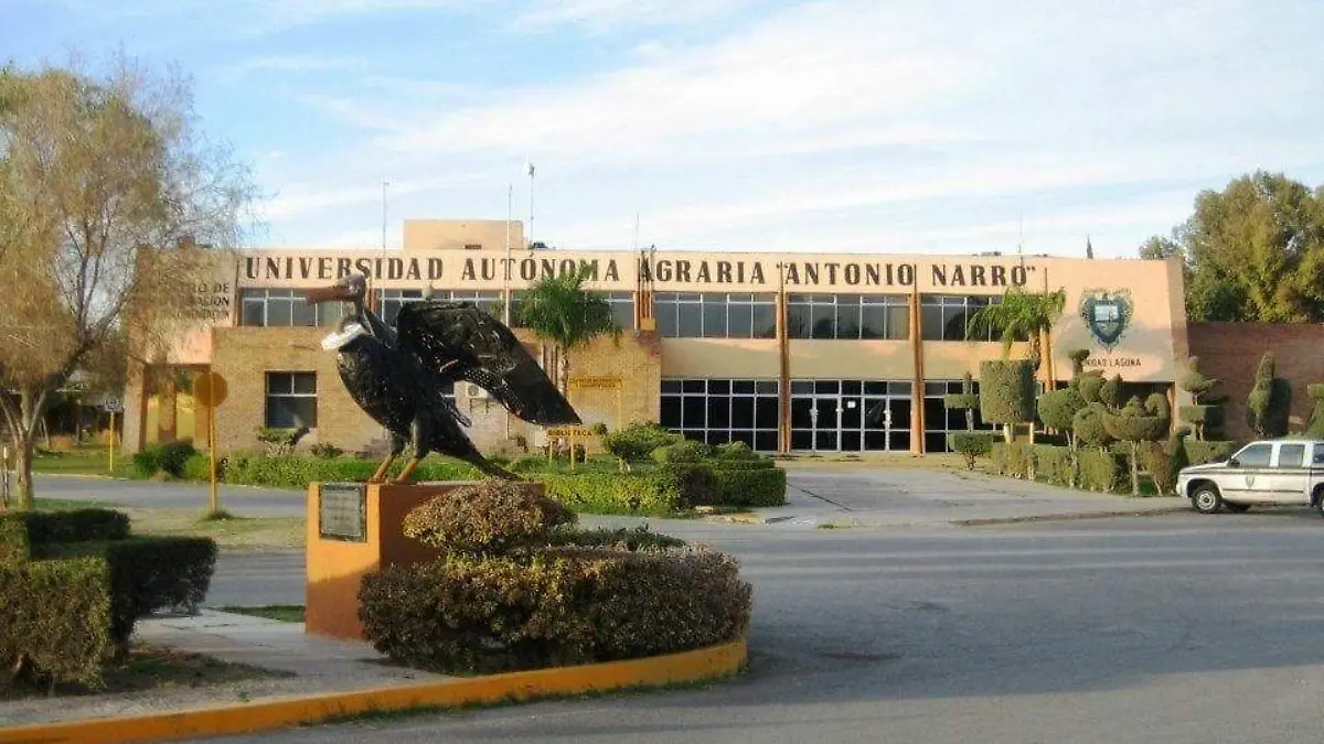 BOLETIN 1