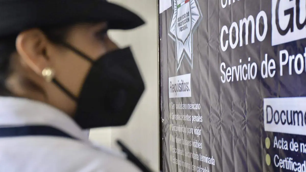 Seguridad Pública