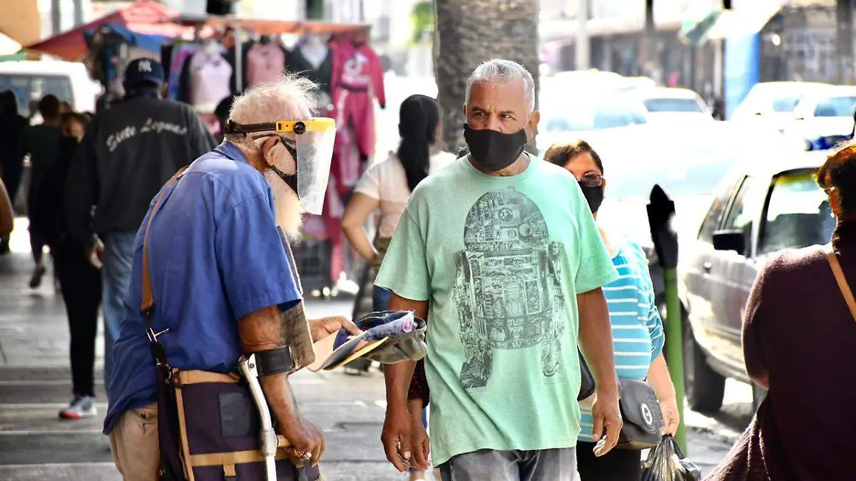 WhatsApp Image 2020-11-19 at 16.01.05