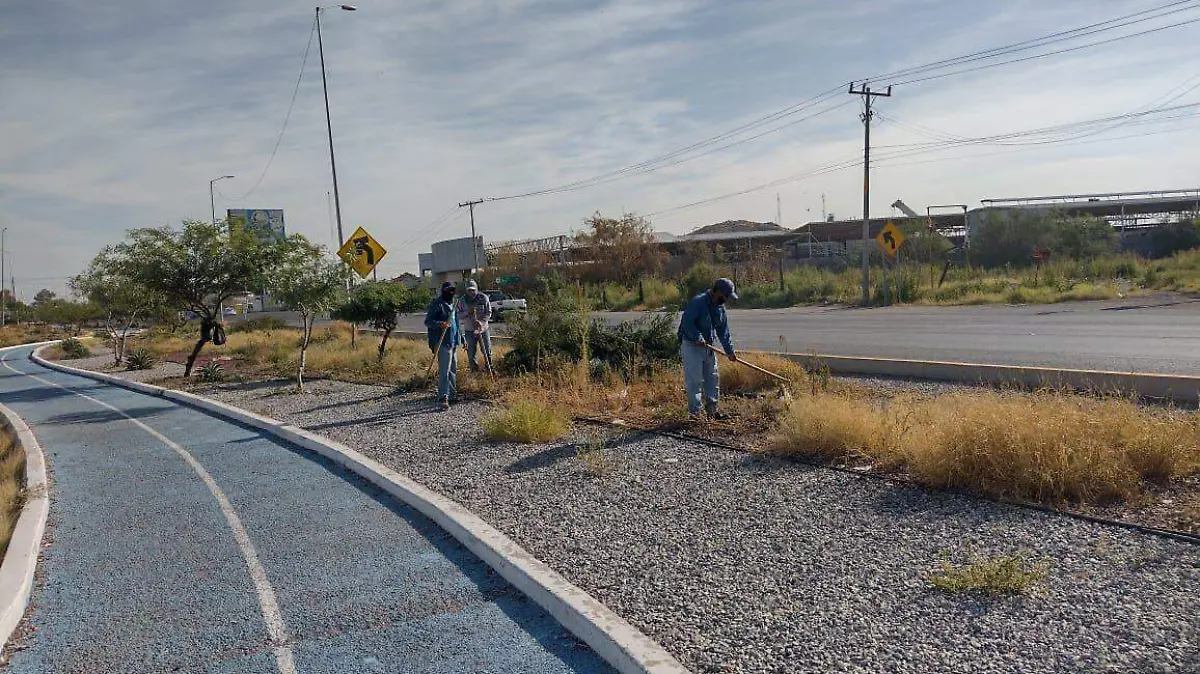 Mantenimientovía pública Lerdo