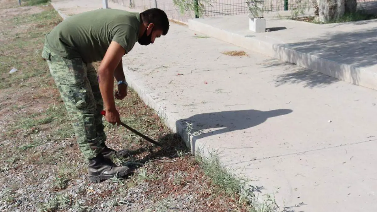 WhatsApp Image 2020-07-17 at 3.45.22 PM