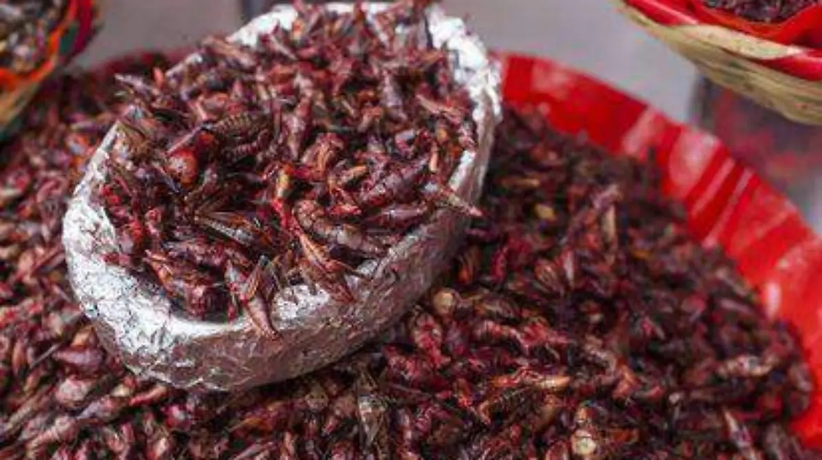 Chapulines 