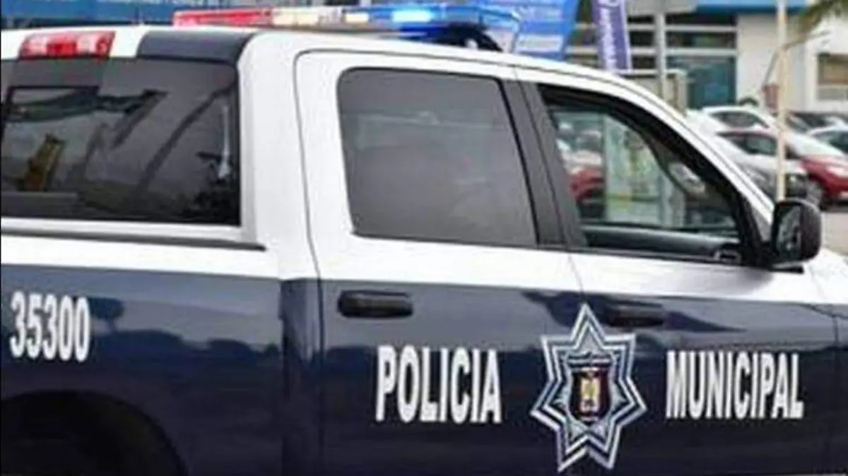 WhatsApp Image 2021-01-19 at 21.09.10