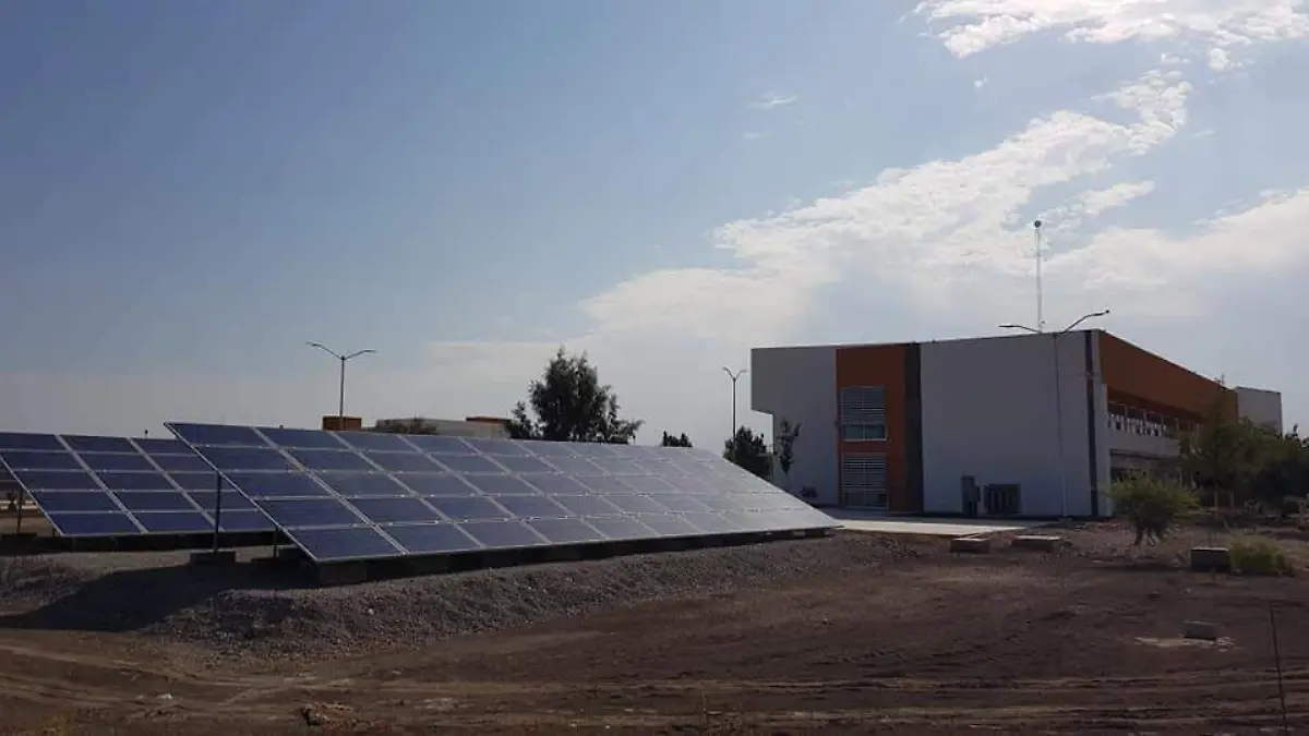 WhatsApp Image 2021-06-03 at 12.54.35 PM