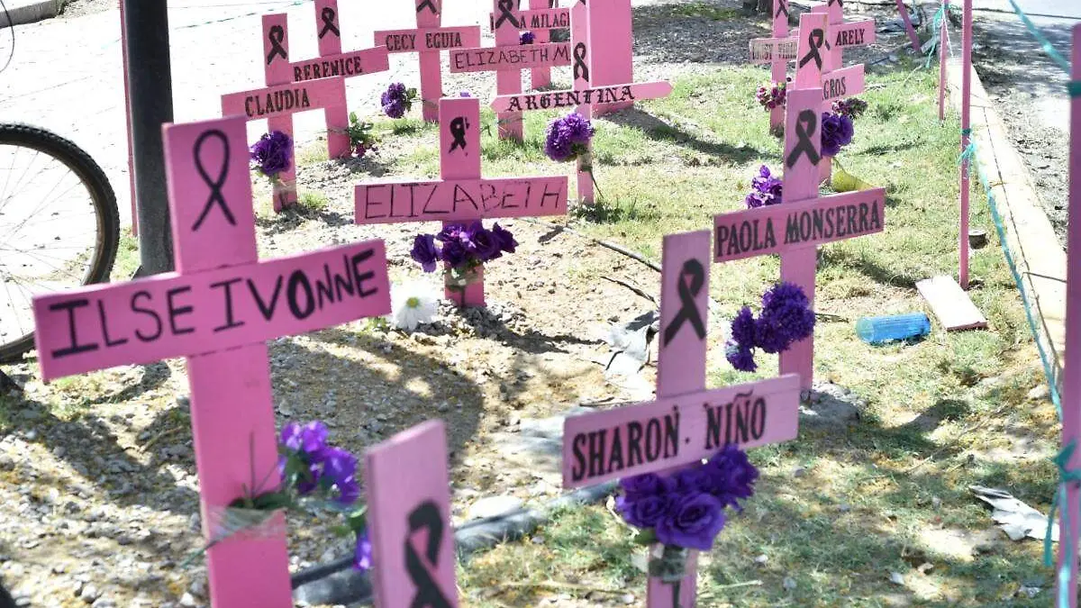 victimas-de-feminicidio