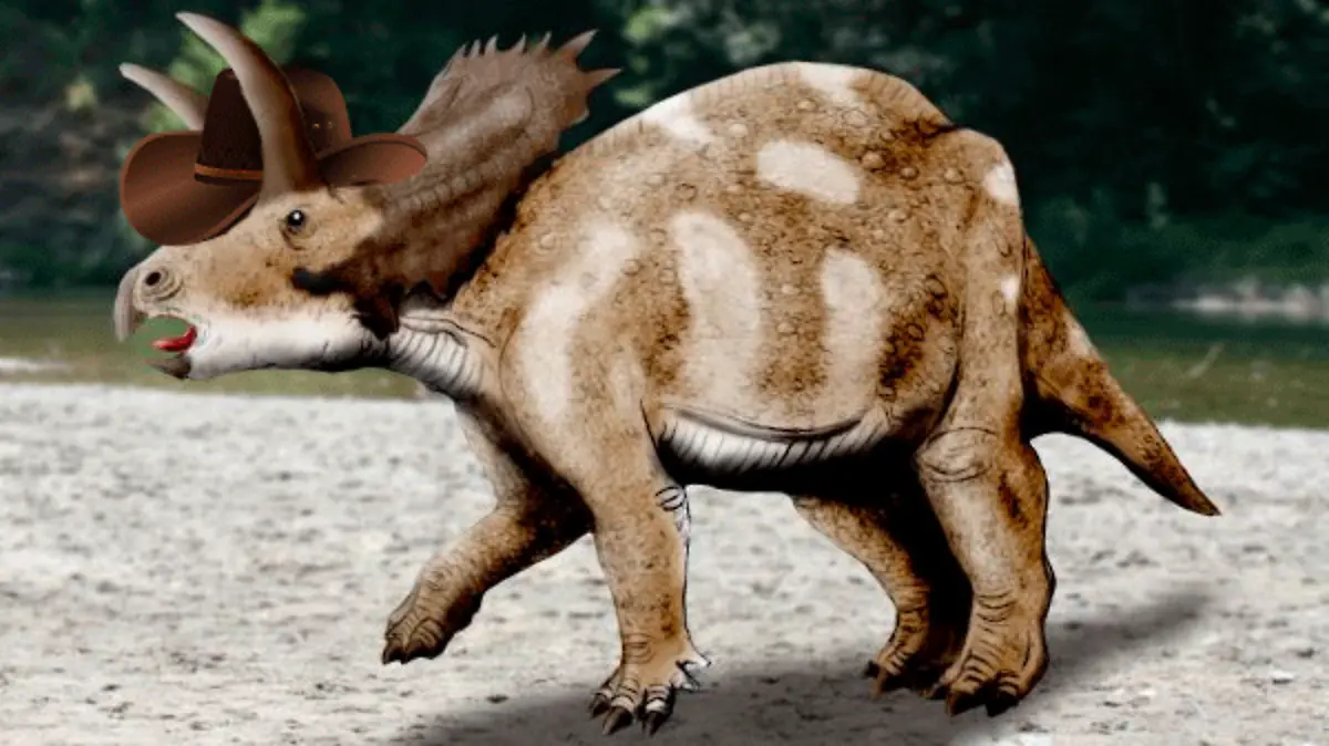 Coahuilaceratops_NT