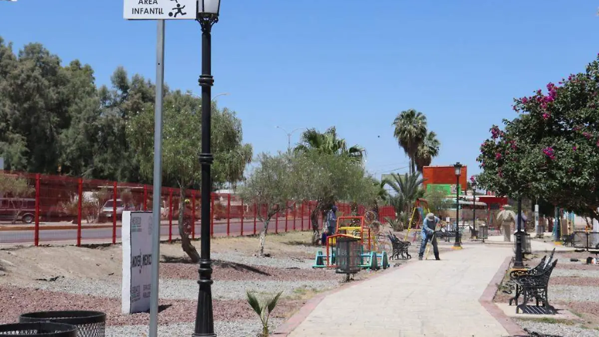 MARCELA 5 Realiza Parques y Jardines riego, limpieza y reforestación
