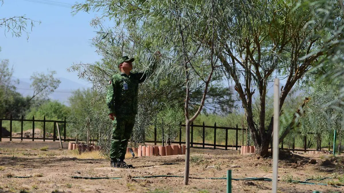 WhatsApp Image 2022-04-29 at 3.02.30 PM