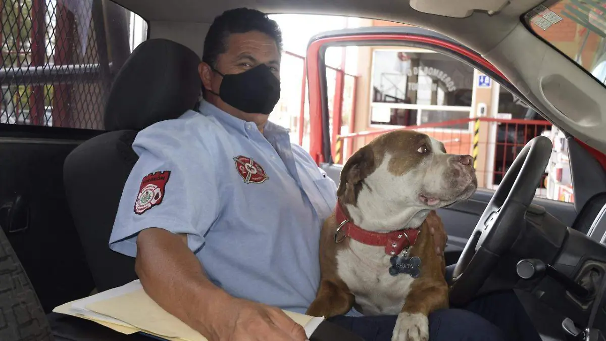 Chato, perro bombero