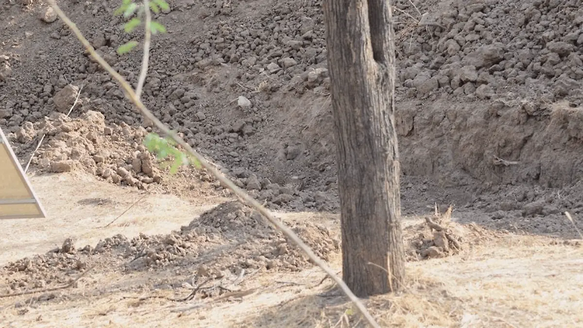 nuevo-revto-viral-encontrar-a-leopardo