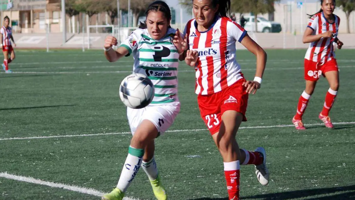 WhatsApp Image 2022-03-19 at 6.55.44 PM