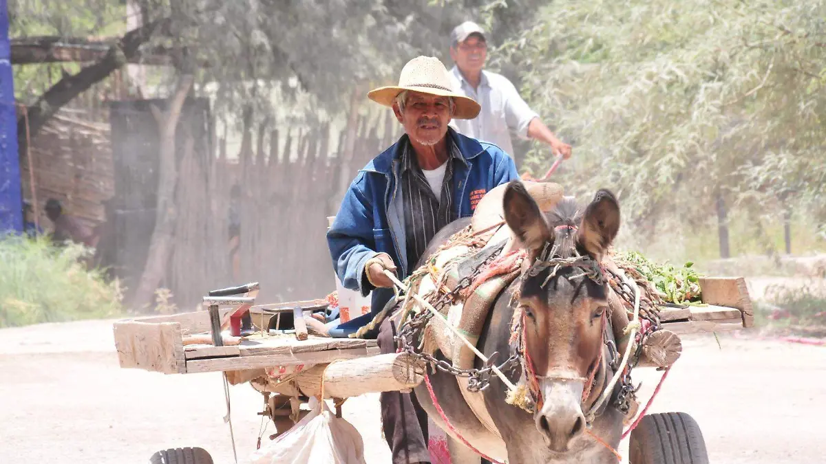 carromateros