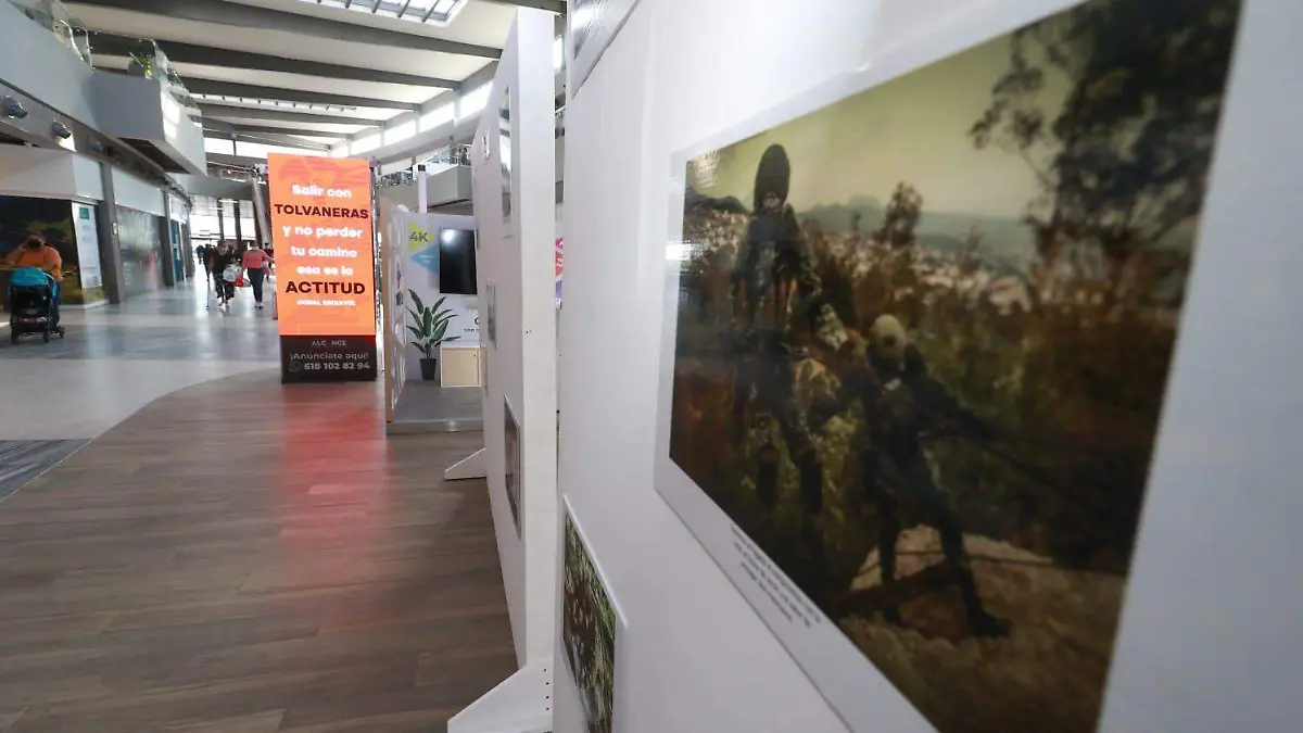 WhatsApp Image 2022-08-11 at 2.51.18 PM