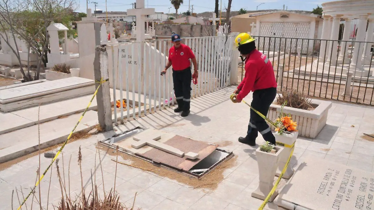 WhatsApp Image 2023-05-06 at 13.13.56