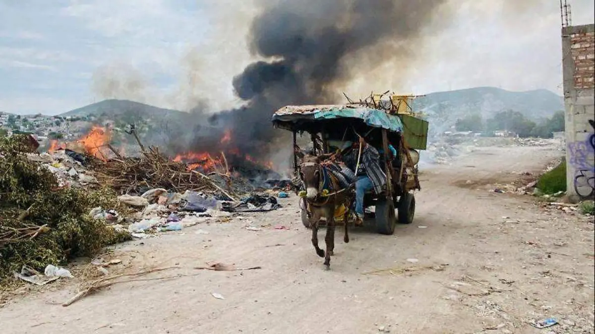 WhatsApp Image 2022-09-30 at 10.15.27