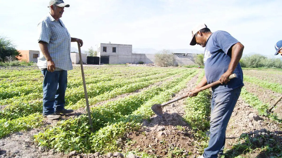 WhatsApp Image 2022-10-10 at 10.55.19