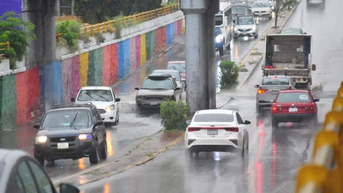 WhatsApp Image 2023-05-20 at 11.20.46