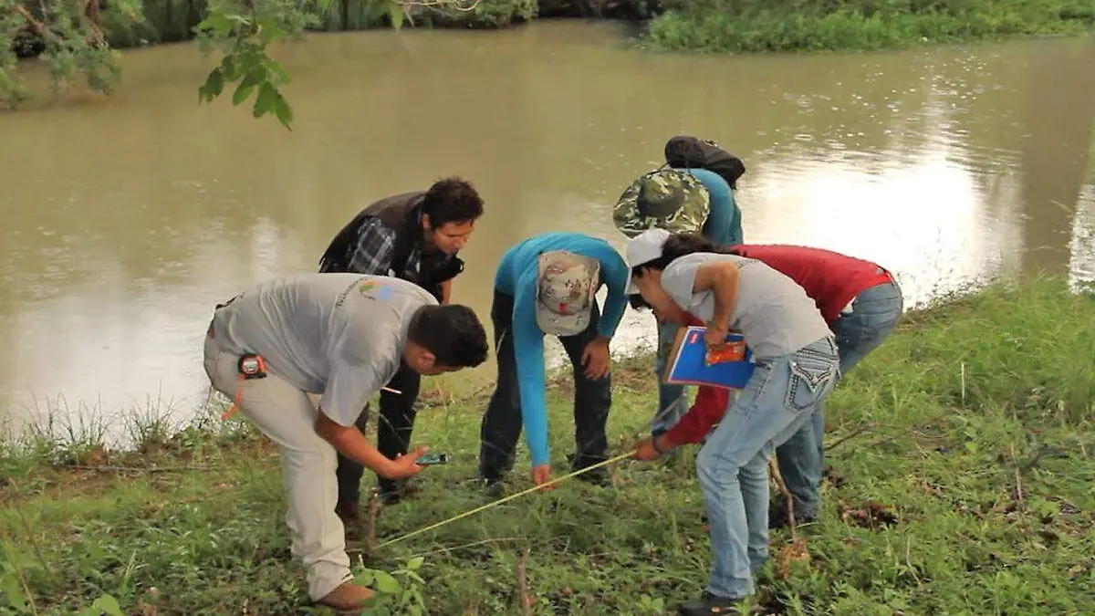 Gestión ambiental 