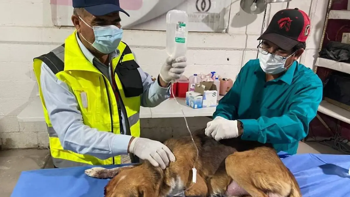 WhatsApp Image 2021-08-26 at 15.45.07