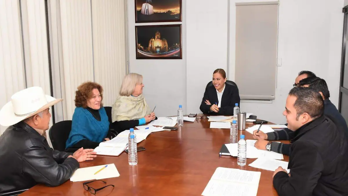 29 DICTAMINA COMISION DE GOBERNACION