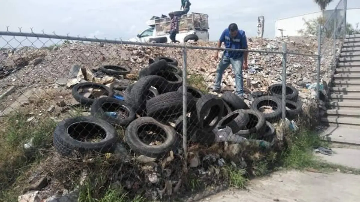 Limpieza Gómez Palacio