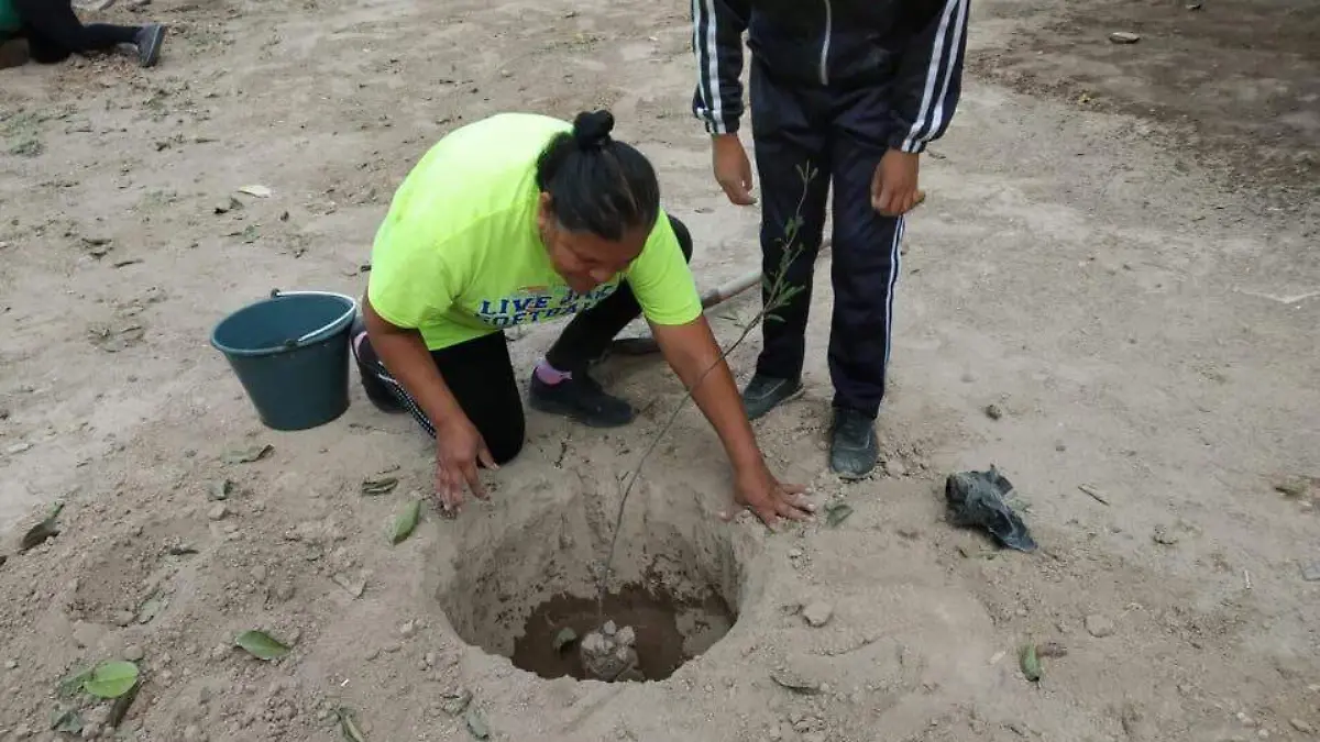CESAR 7 Abren registro para campaña #ReforestAcción en Gómez Palacio