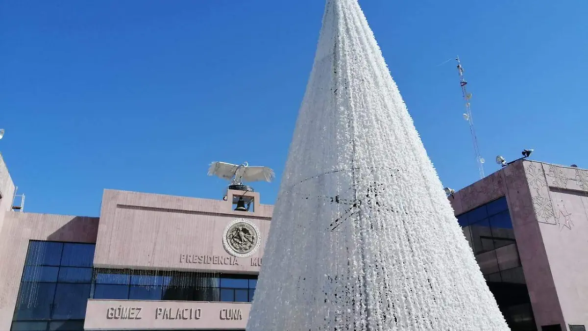 Pino Navidad Presidencia Gómez Palacio