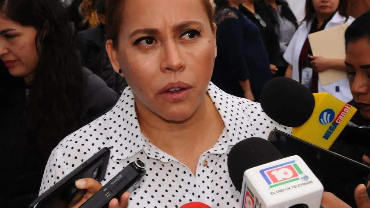 12 Solicita Marina Vitela apoyo del diputado Mario Delgado