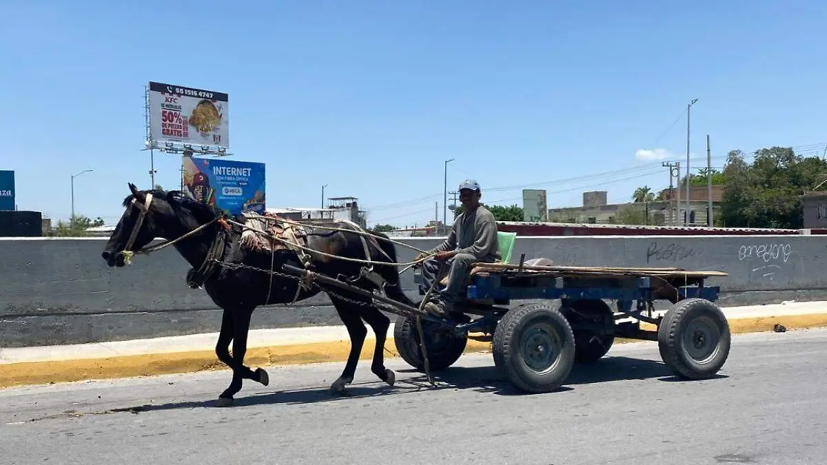 carromateros