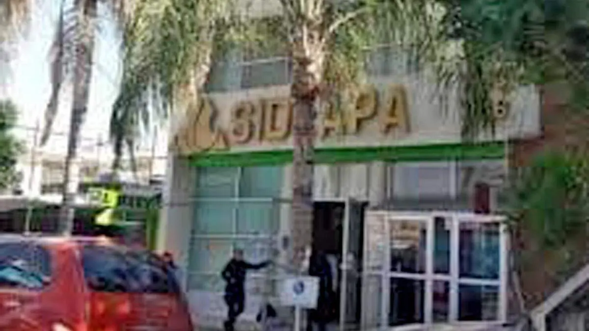 sindicato