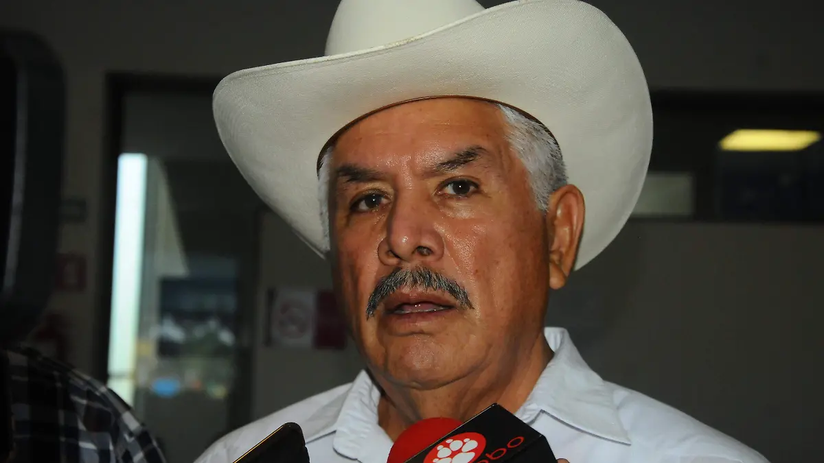 CESAR 4