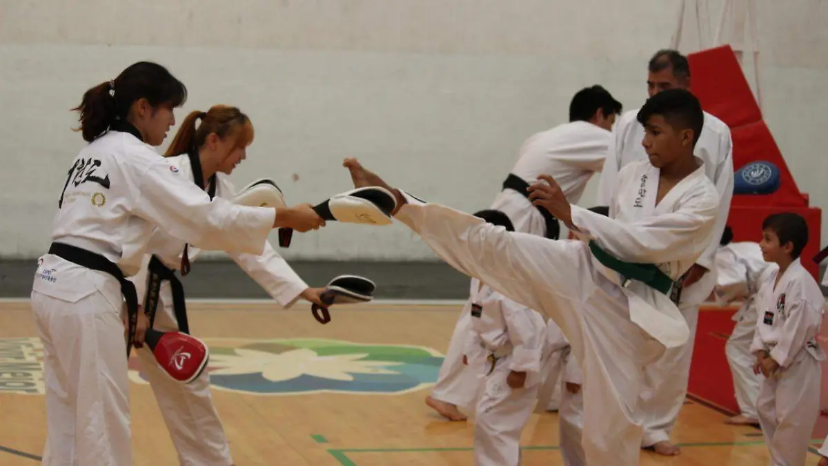 TAEKWONDO PEACE CORPS