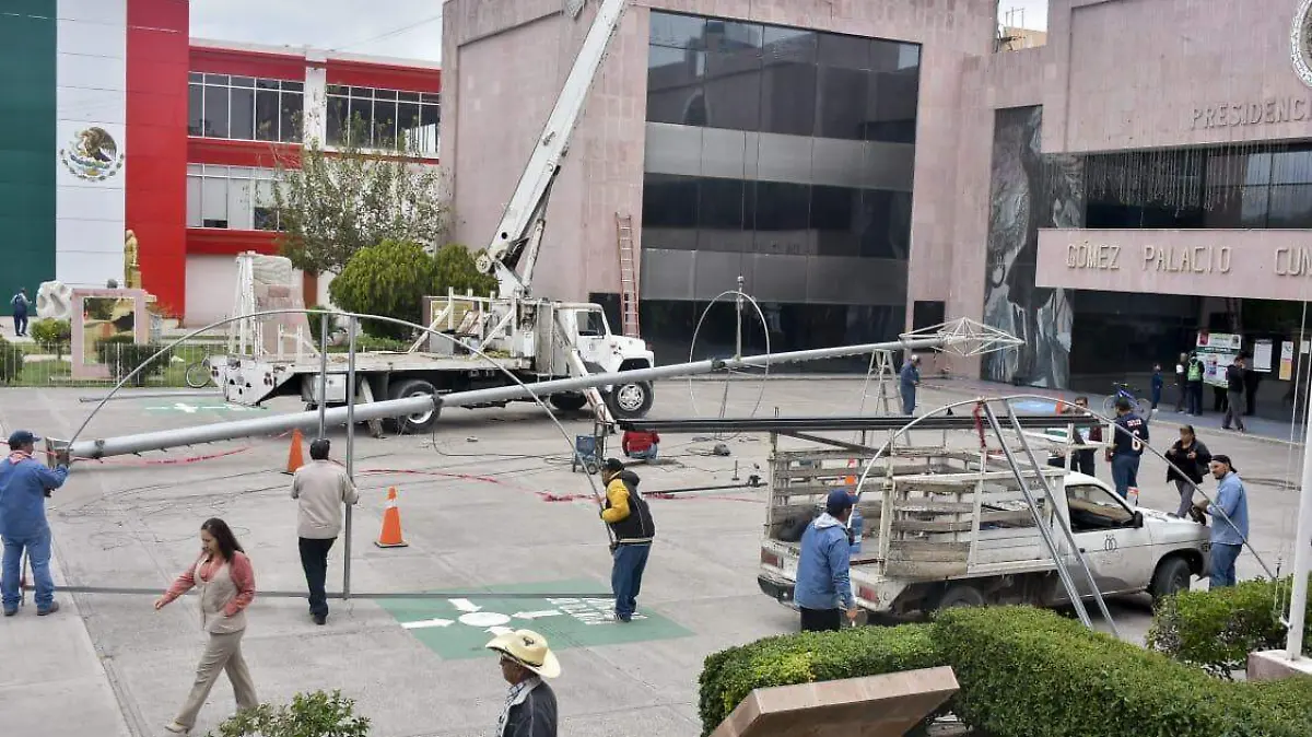 31 EL ARBOL EN LA EXPLANADA1