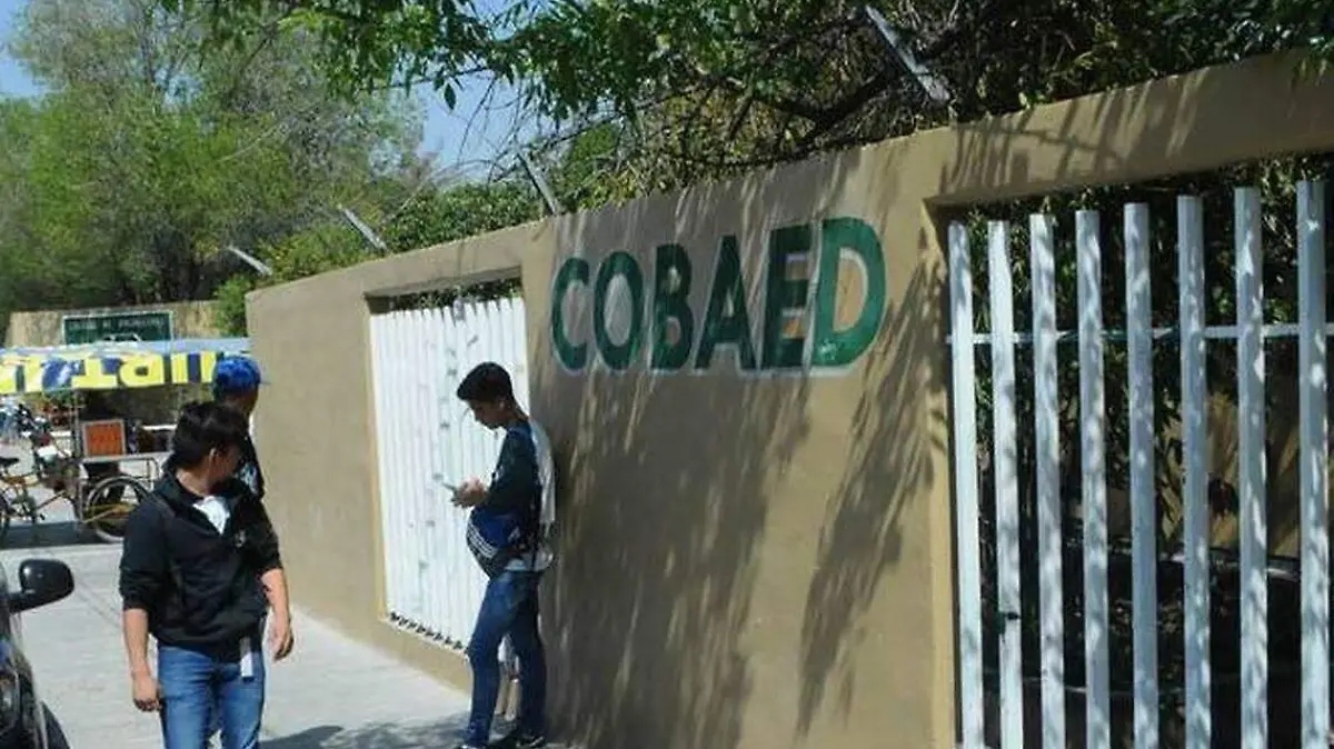 06 CESAR Para evitar drogas