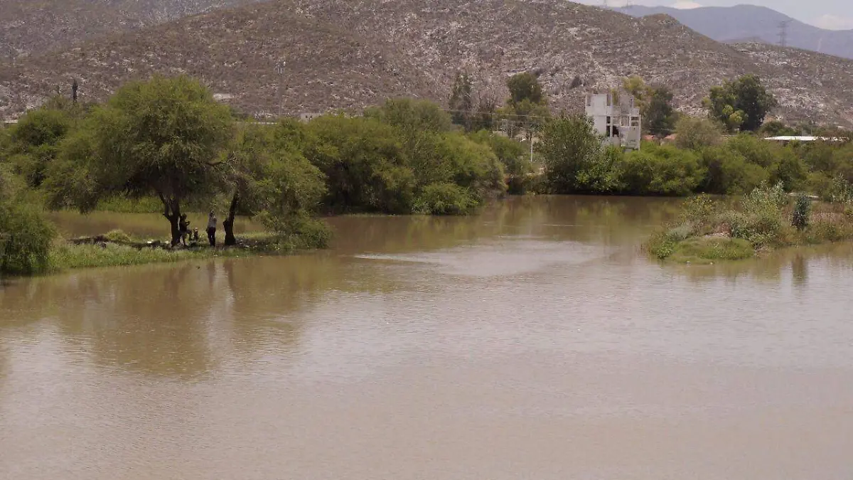 WhatsApp Image 2021-08-17 at 16.24.19