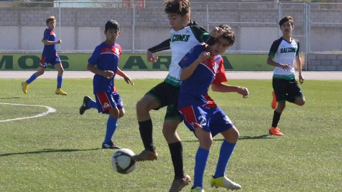 j10 Halcones 1