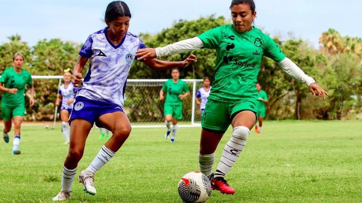 santos-feminil