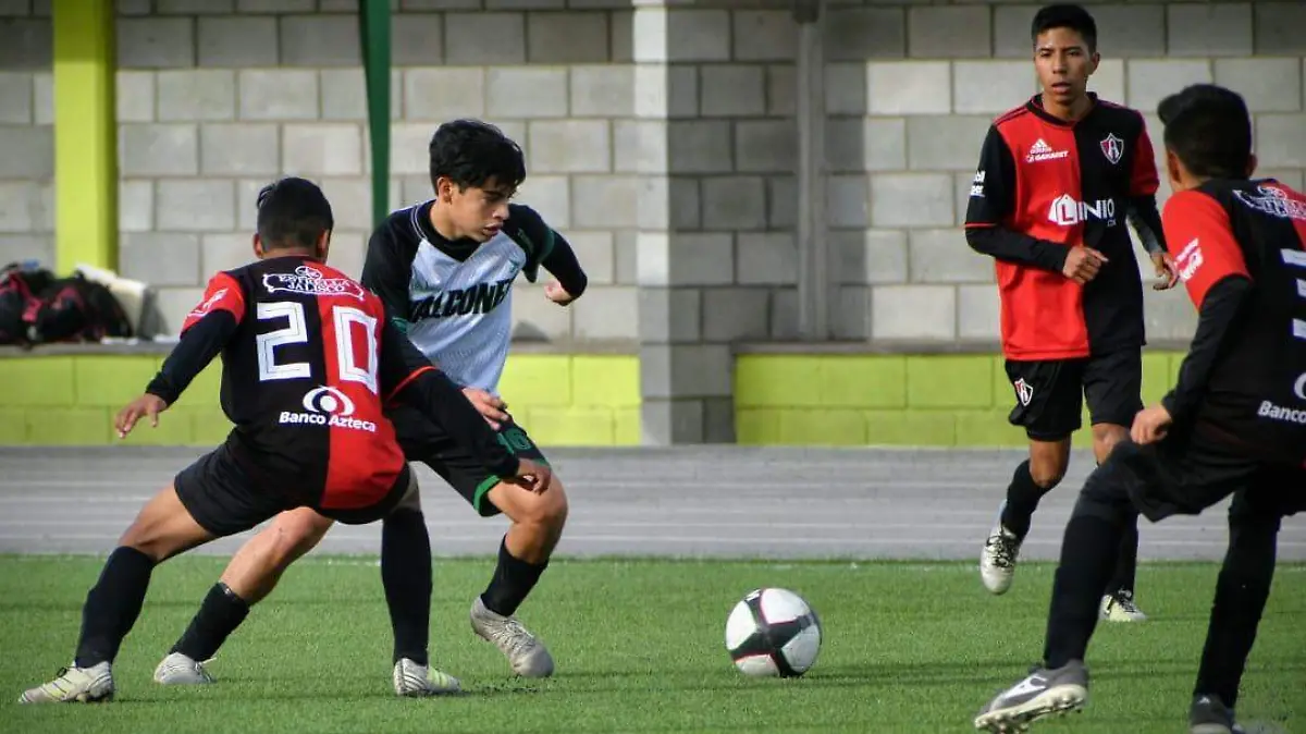 14 Halcones 1