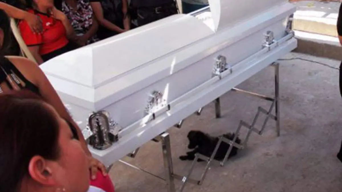 03 nino muerto mamas