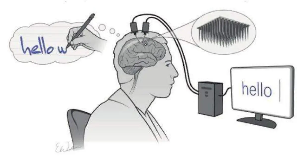 sensor-cerebro-nature