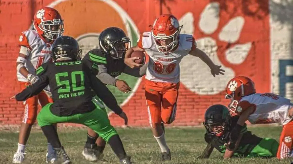 Jaguares