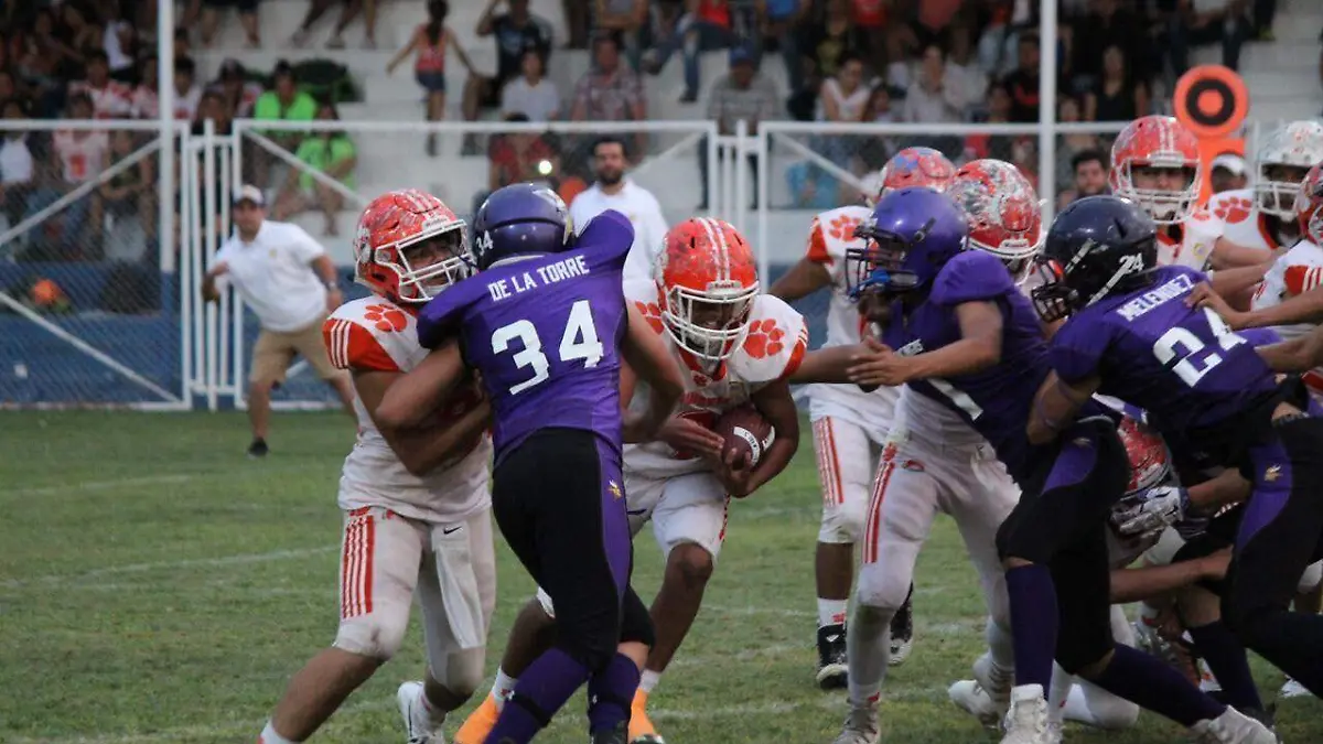 Jaguares del Campestre La Rosita