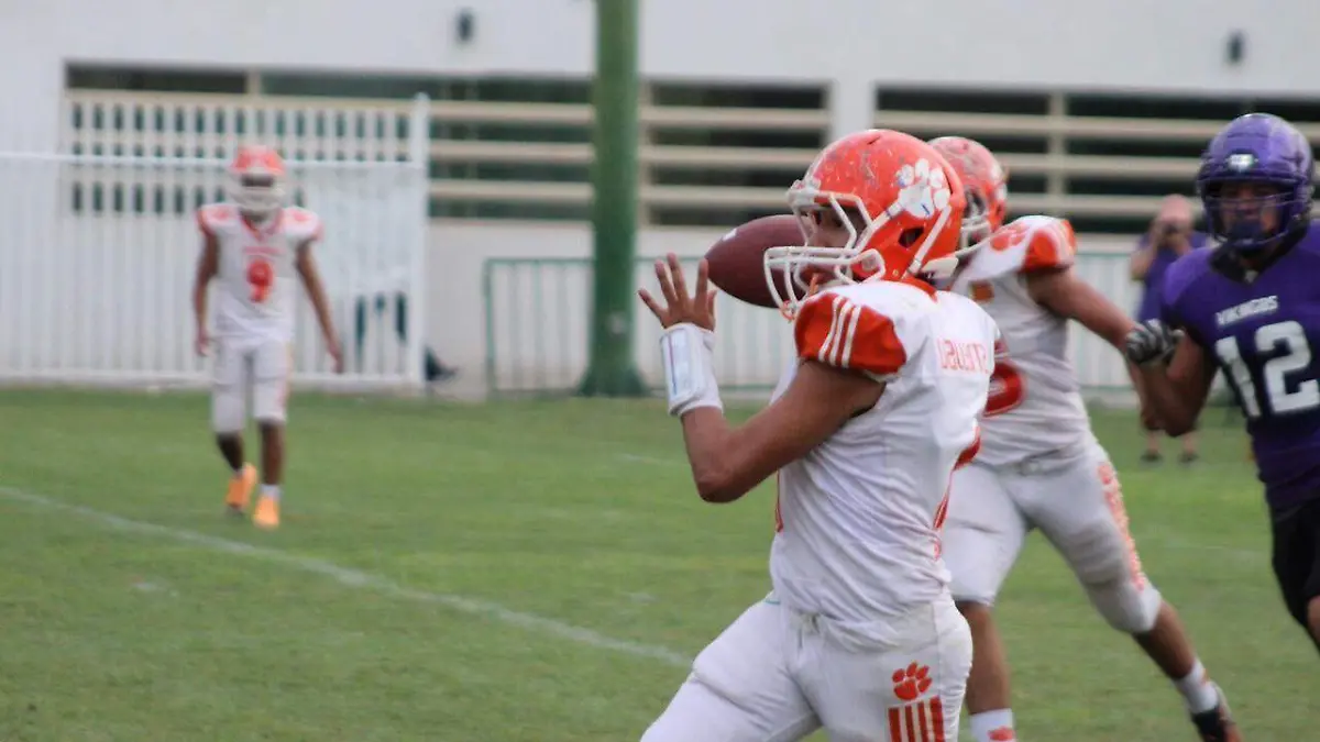 Jaguares del Campestre La Rosita